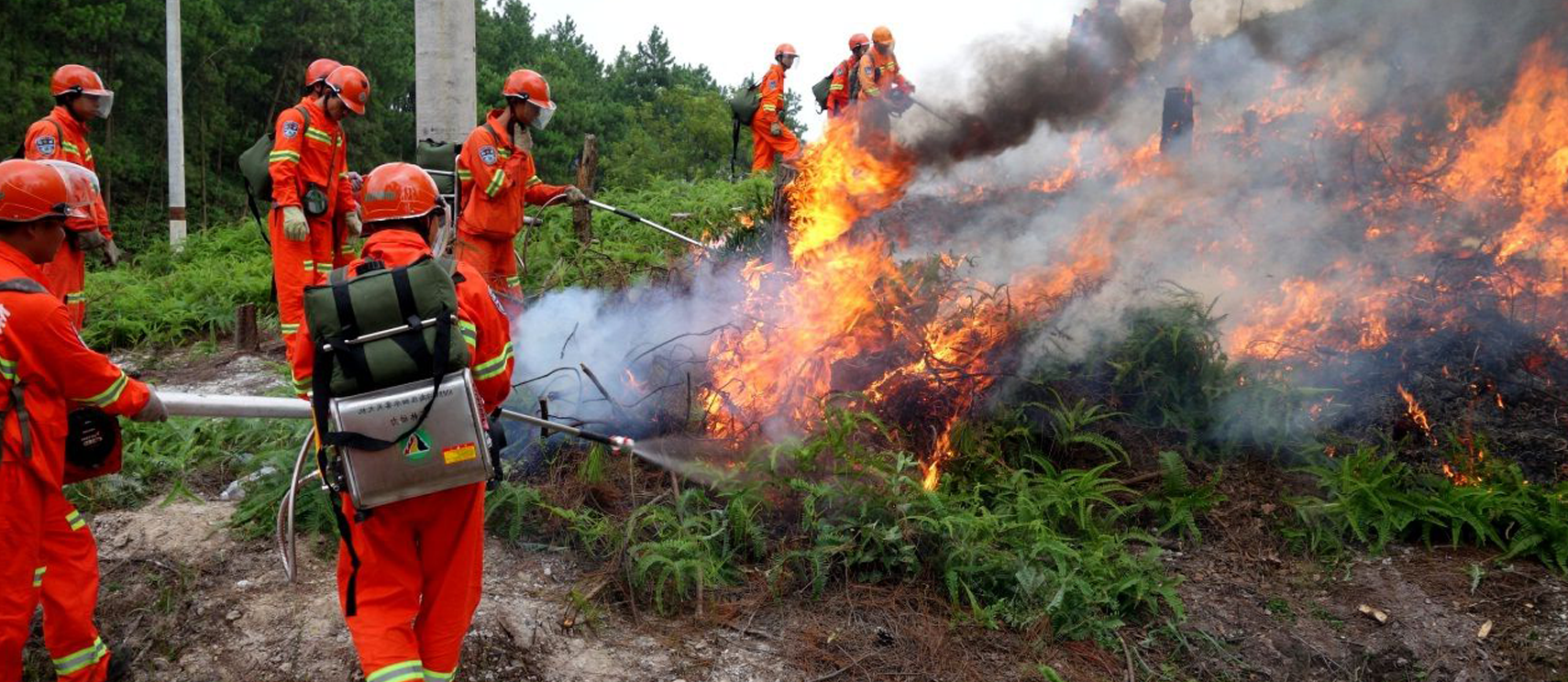森林防火应急通信指挥调度系统解决方案